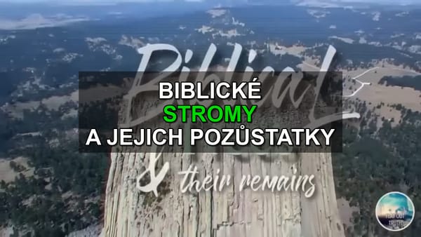 Biblické stromy a jejich pozůstatky