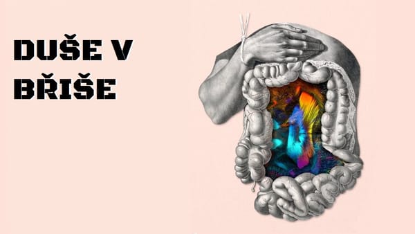 Duše v břiše [Rumble]