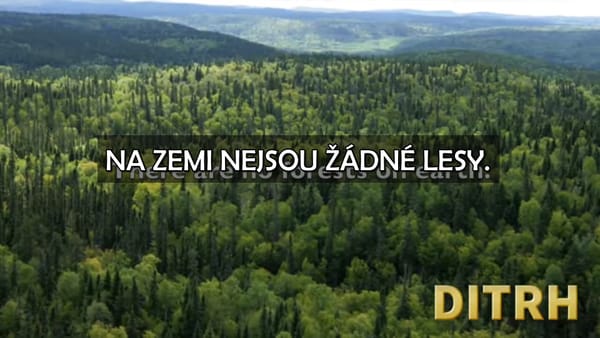 Na zemi nejsou žádné lesy